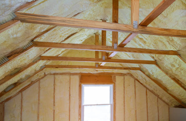 Best Commercial Insulation in Hutchison, VA