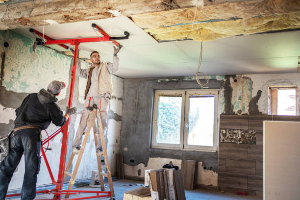 Best Residential Insulation in Hutchison, VA