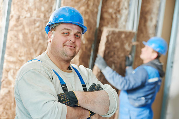 Best Insulation Maintenance and Repair in Hutchison, VA