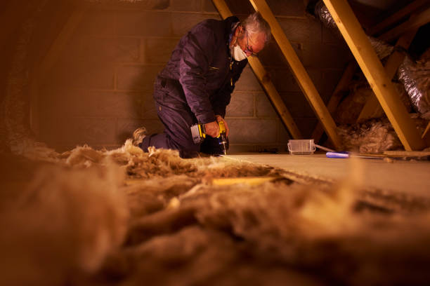 Best Energy Efficiency Solutions in Hutchison, VA